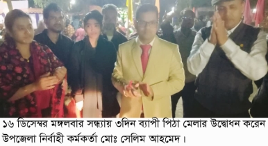 পাঁচবিবিতে ৩দিন ব্যাপী পিঠা মেলার  উদ্বোধন